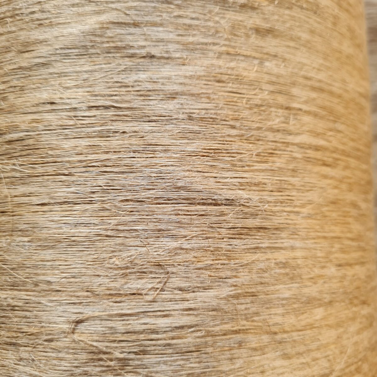 Lin-1-UD-300gr
